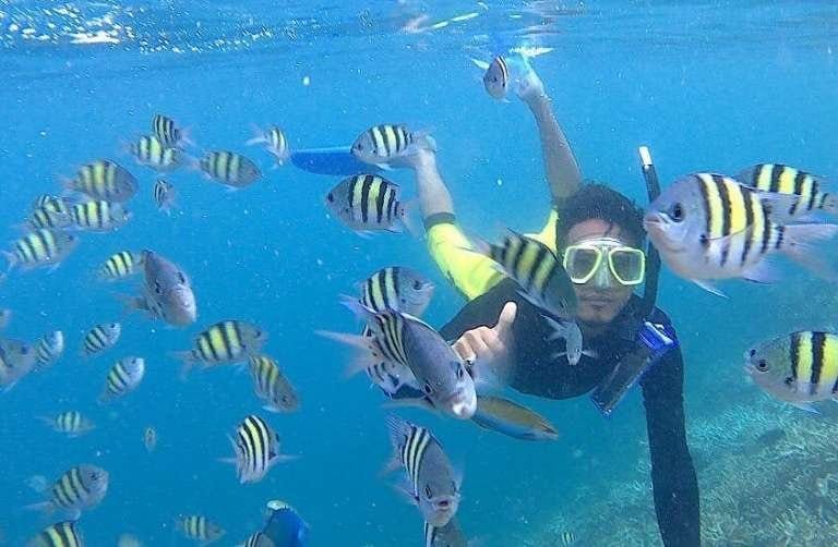 Spot Snorkeling Wisata Pulau Harapan