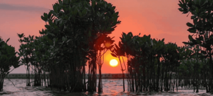 Sunset Indah Wisata Pulau Pramuka