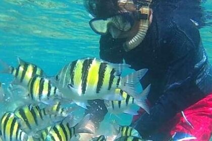 Spot Snorkeling Wisata Pulau Pari
