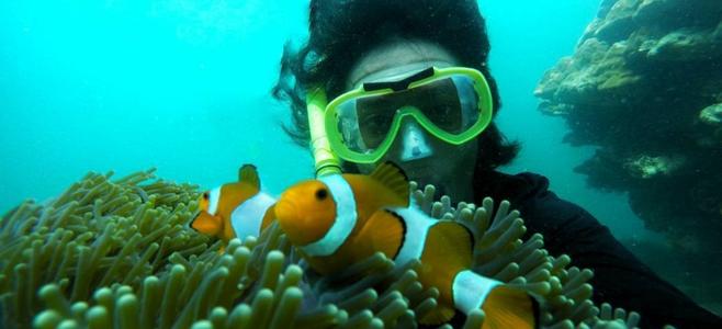 Snorkeling Bersama Ikan Nemo Pulau Pahawang