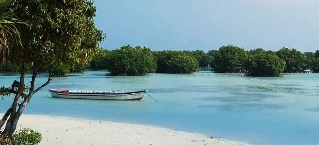 Pantai Pasir Perawan Pulau Pari