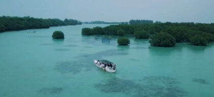 Jelajah Hutan Mangrove Pulau Pari