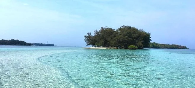 Pulau Dolphin Wisata Pulau Harapan