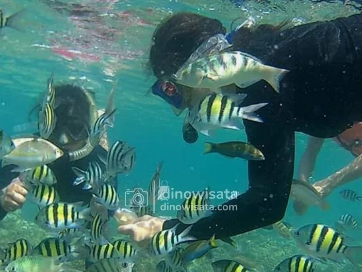 Spot Snorkeling Wisata Pulau Tidung Kepulauan Seribu