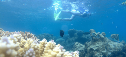 Snorkeling Pulau Pramuka