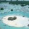 Objek Wisata Pantai Pasir Perawan Pulau Pari via Drone
