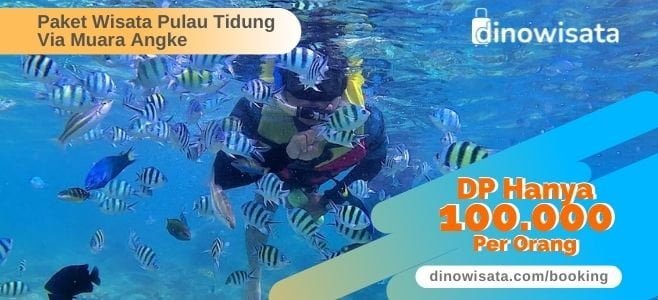 Booking Online Paket Wisata Pulau Tidung