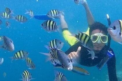 Spot Snorkeling Wisata Pulau Harapan