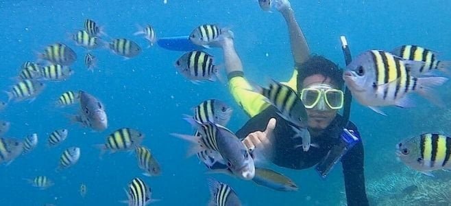 Spot Snorkeling Wisata Pulau Harapan