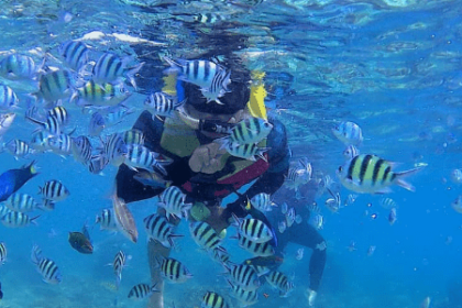 Spot Snorkeling Wisata Pulau Tidung