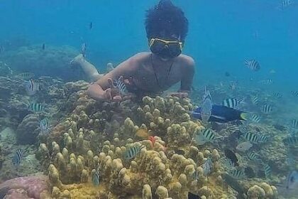 Spot Snorkeling Wisata Pulau Pari Kepulauan Seribu