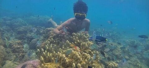 Spot Snorkeling Wisata Pulau Pari Kepulauan Seribu