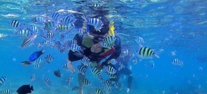 Dokumentasi Snorkeling di Wisata Pulau Tidung