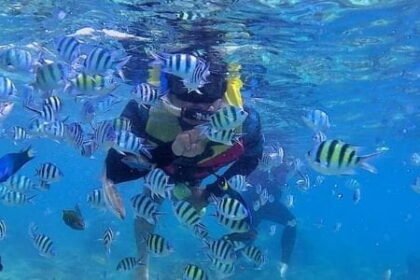 Spot Snorkeling Pulau Seribu: Wisata Pulau Tidung