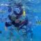 Snorkeling Wisata Pulau Tidung