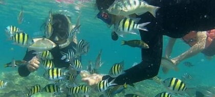 Spot Snorkeling Wisata Pulau Tidung