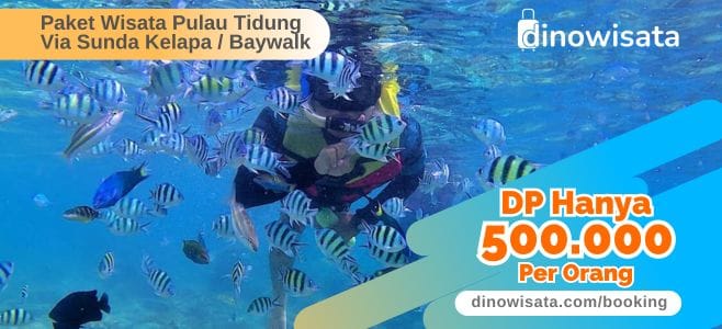 Booking Online Paket Wisata Pulau Tidung DP500K
