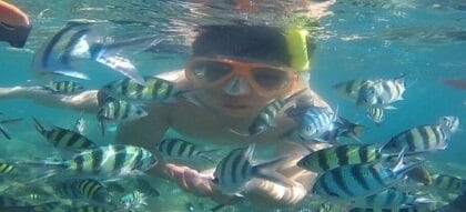 Snorkeling Di Pulau Harapan Kepulauan Seribu